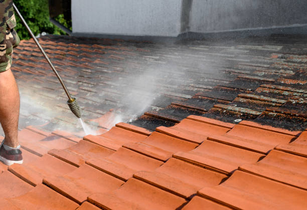 Best Local Pressure Washing Services  in Oelwein, IA