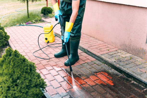 Best Commercial Pressure Washing  in Oelwein, IA