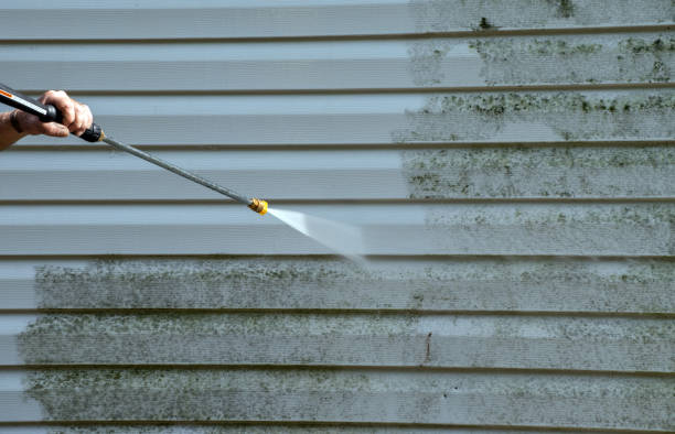 Best Commercial Building Pressure Washing  in Oelwein, IA