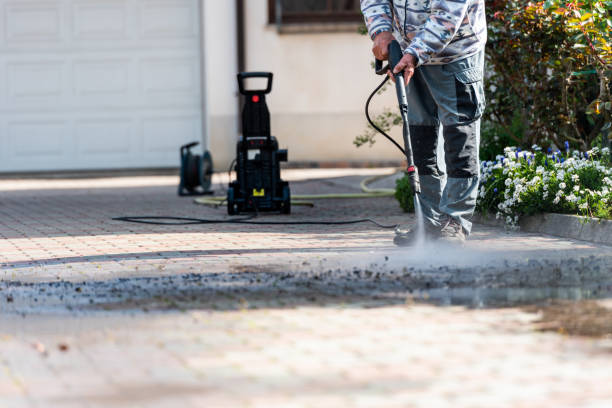 Best Roof Pressure Washing  in Oelwein, IA