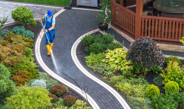 Best Sidewalk Pressure Washing  in Oelwein, IA