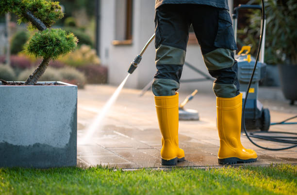 Best House Pressure Washing  in Oelwein, IA